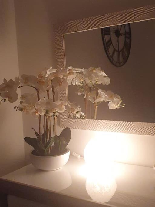 Orchidea Home ترييستي المظهر الخارجي الصورة